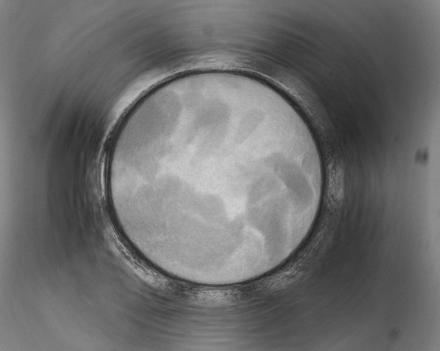 X0000114561078200911301243