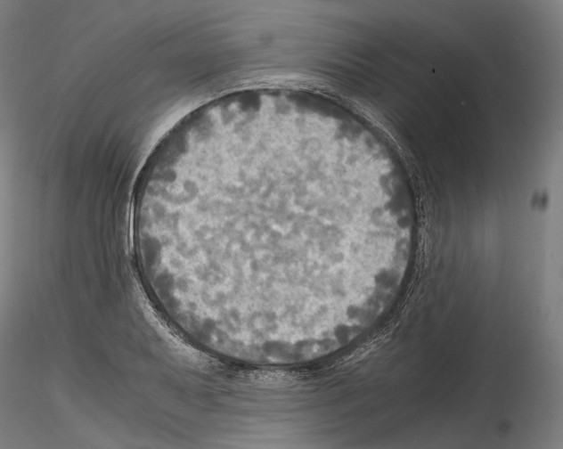 X0000114561079200911301243