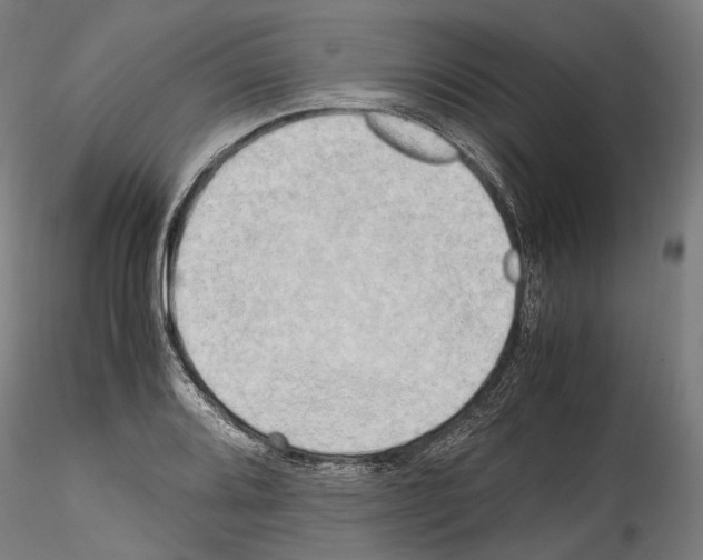 X0000114561080200911301243