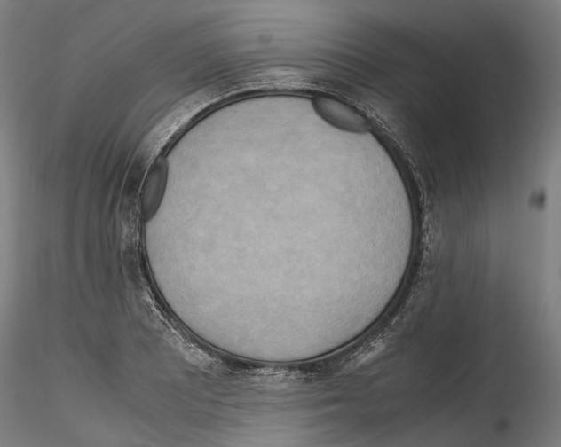 X0000114561081200911301243