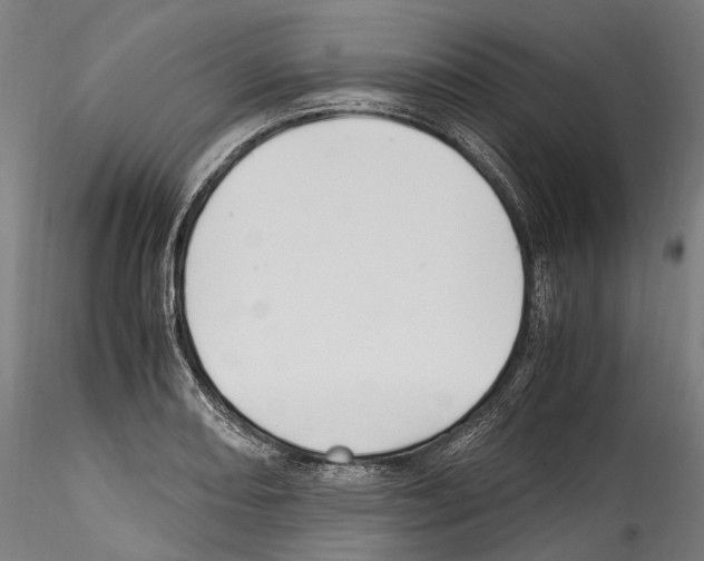 X0000114561082200911301243