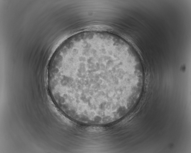 X0000114561083200911301243
