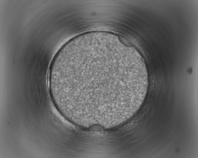 X0000114561084200911301243