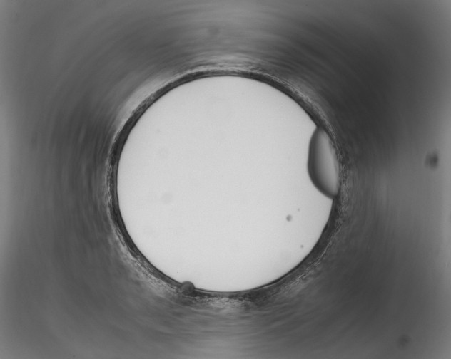 X0000114561085200911301243