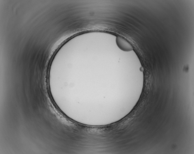 X0000114561086200911301243