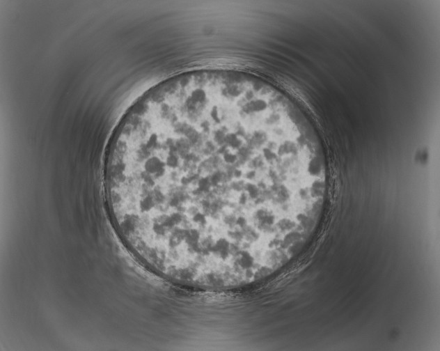 X0000114561087200911301243