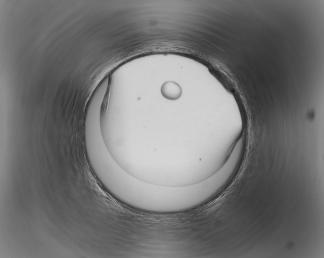 X0000114561089200911301243