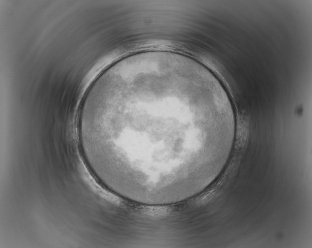 X0000114561090200911301243