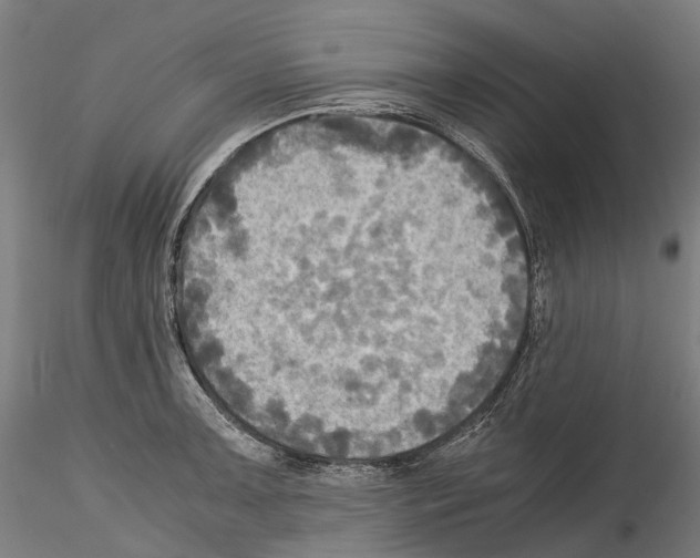 X0000114561091200911301243