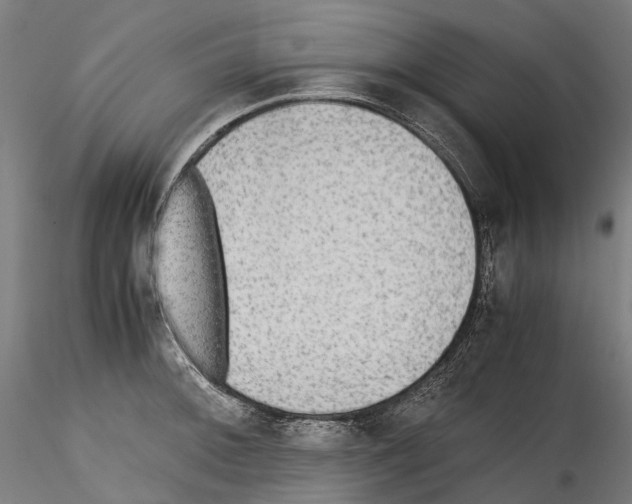 X0000114561092200911301243