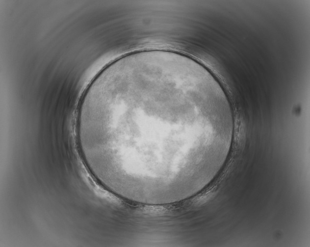 X0000114561094200911301243