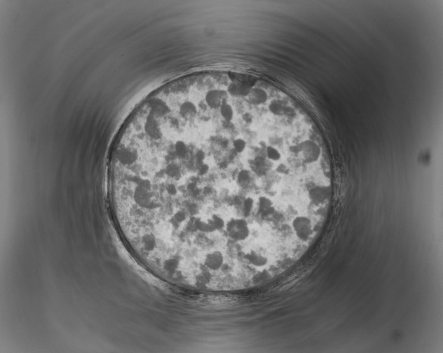 X0000114561095200911301243