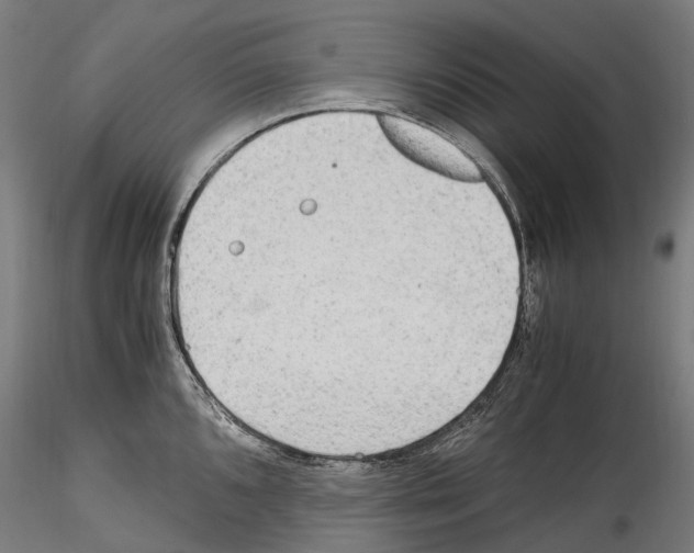 X0000114561096200911301243