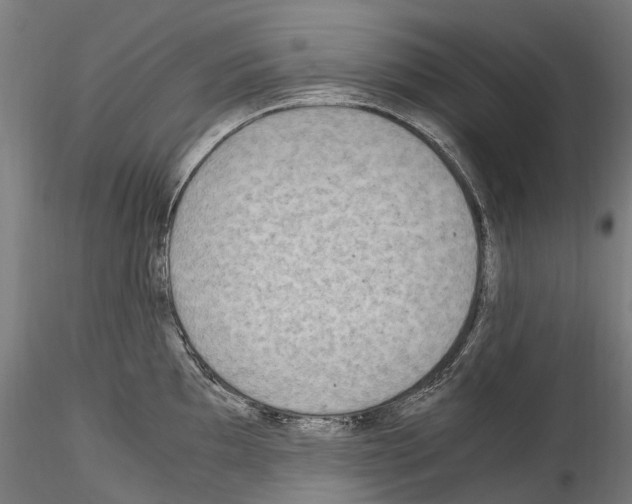X0000114561097200911301243