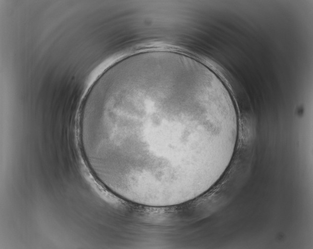 X0000114561098200911301243