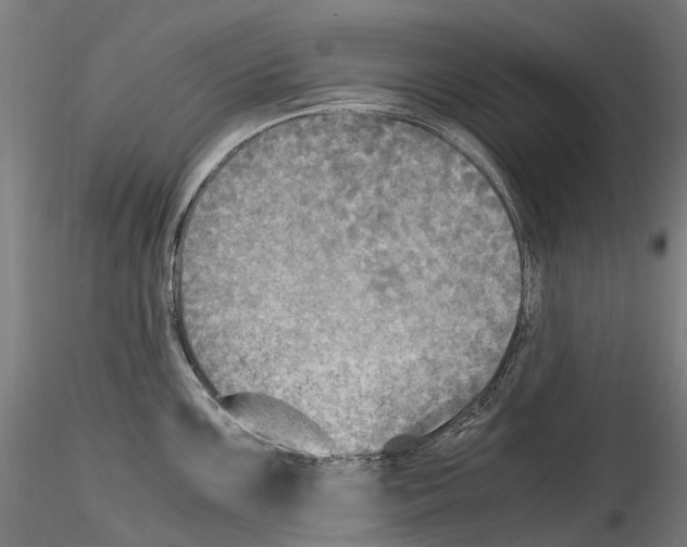 X0000114561099200911301243