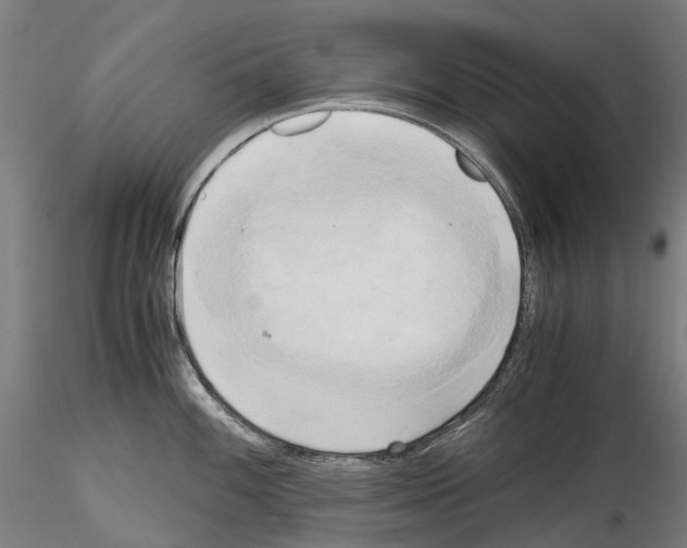 X0000114561100200911301243