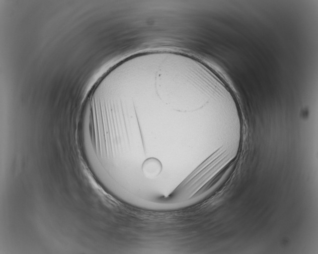 X0000114561101200911301243