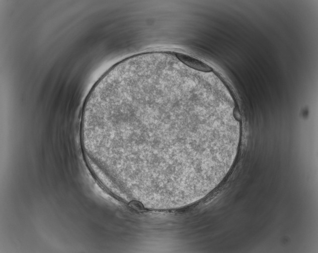X0000114561102200911301243
