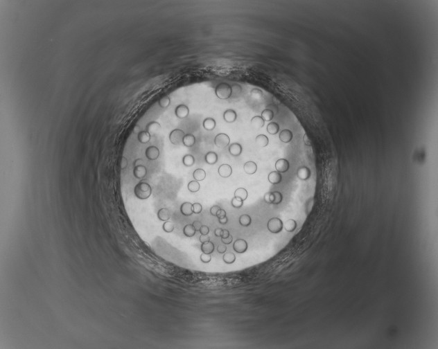 X0000114561105200911301241