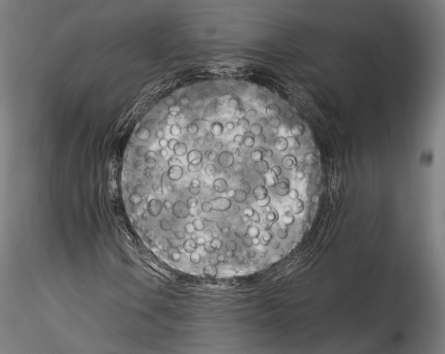 X0000114561106200911301242