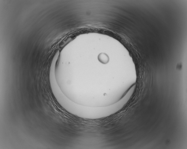 X0000114561110200911301242