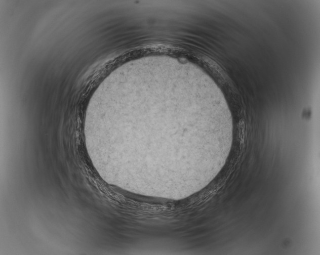X0000114561111200911301242