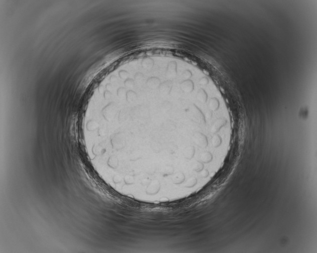 X0000114561113200911301242