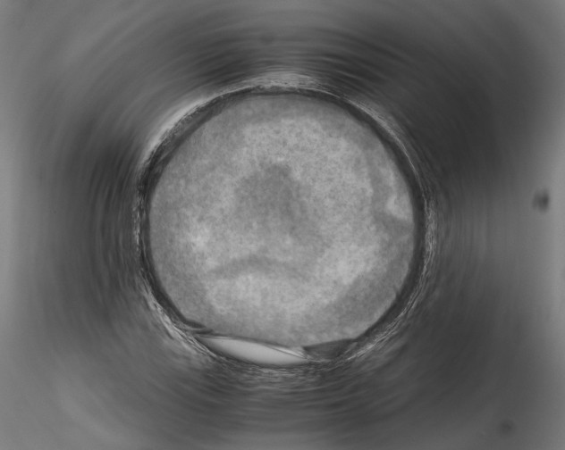 X0000114561115200911301242