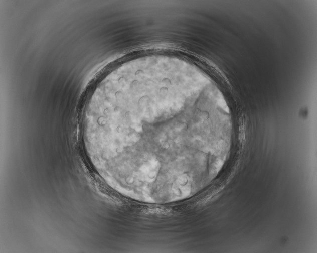 X0000114561117200911301242