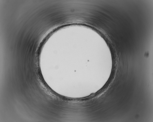 X0000114561118200911301242