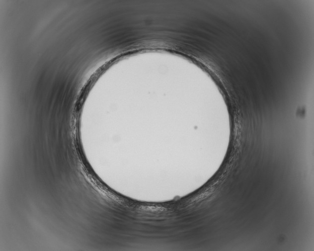 X0000114561119200911301242