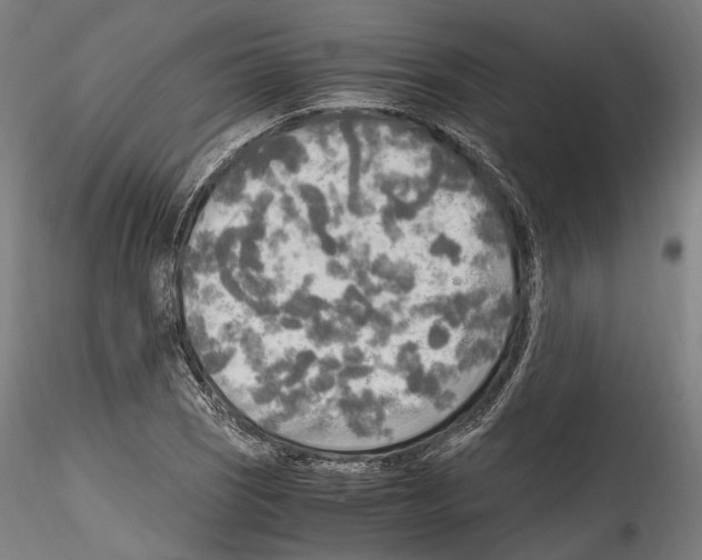 X0000114561121200911301242