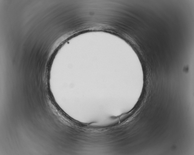 X0000114561122200911301242