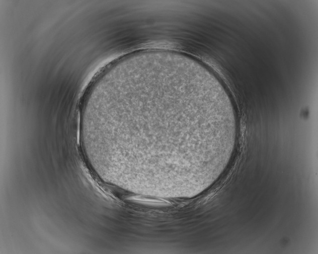 X0000114561123200911301242