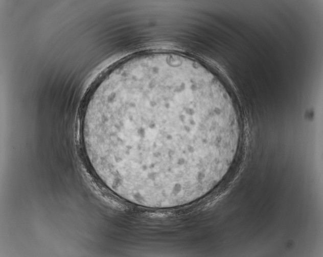 X0000114561125200911301242