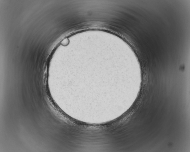X0000114561126200911301242