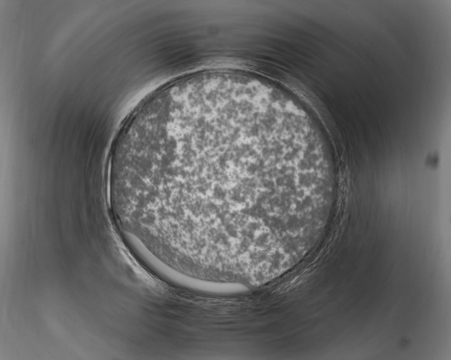 X0000114561127200911301242
