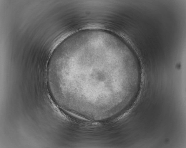 X0000114561129200911301242