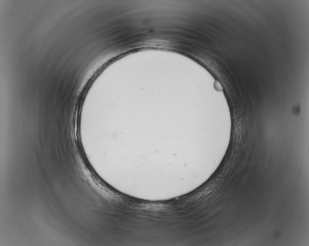 X0000114561131200911301242