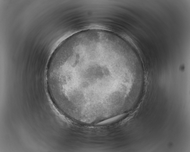 X0000114561133200911301242