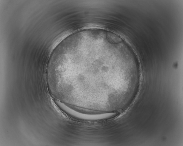 X0000114561137200911301242