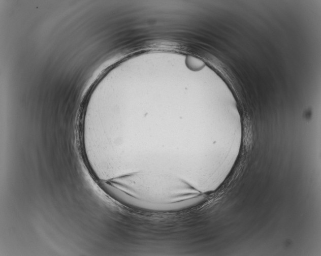 X0000114561139200911301242
