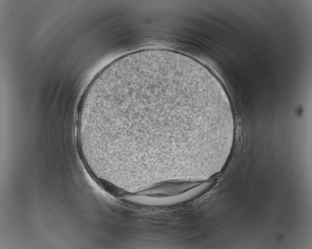 X0000114561143200911301242