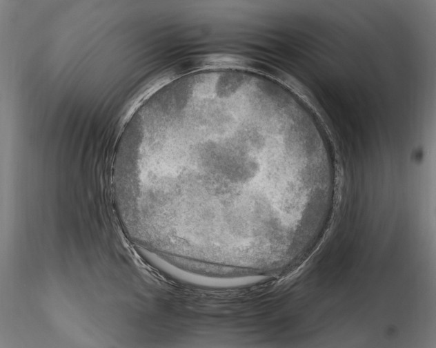 X0000114561145200911301242