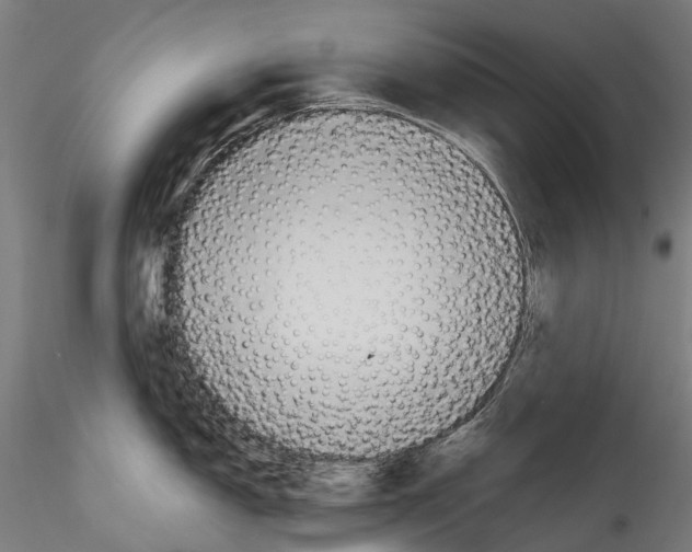X0000114561150200911301242