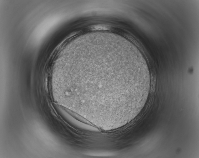 X0000114561151200911301242