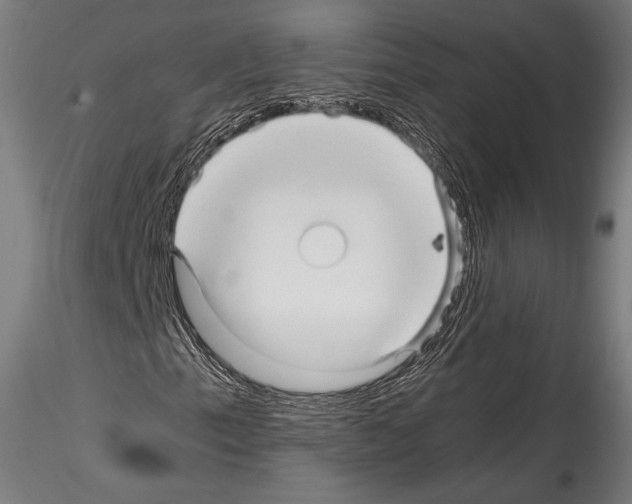 X0000114561153200911301241