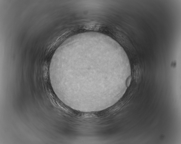 X0000114561154200911301241