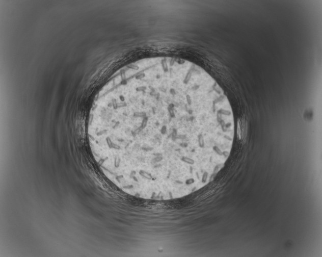 X0000114561155200911301241